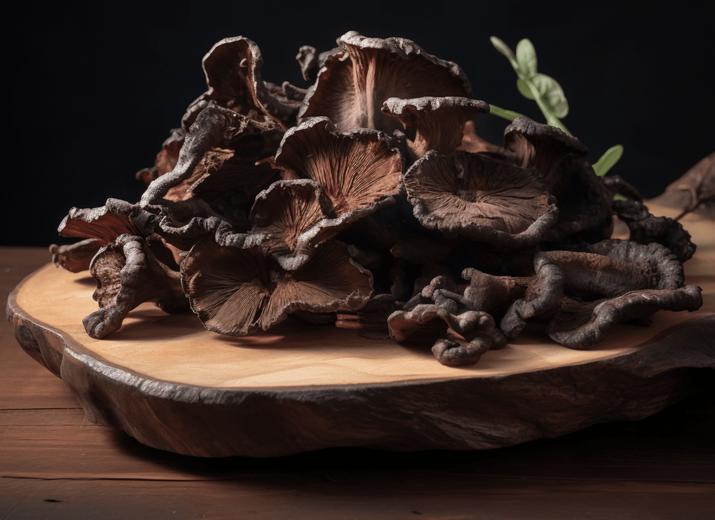 Black Fungus (Auricularia) to support circulation and comfort
