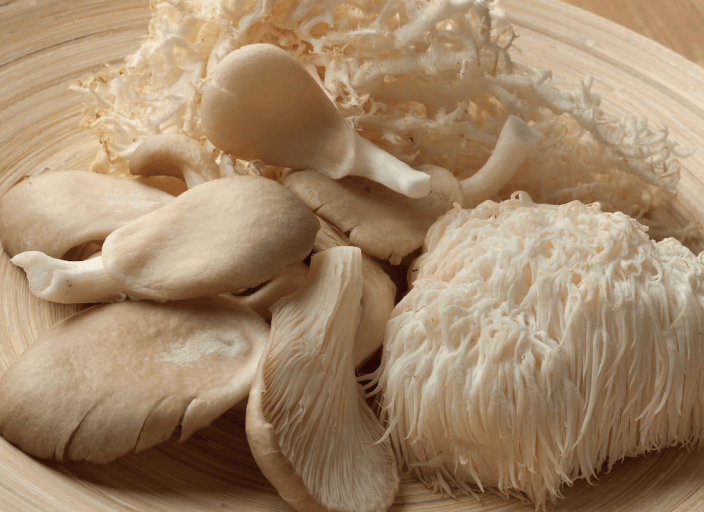 Lion’s Mane mushroom for clarity and focus